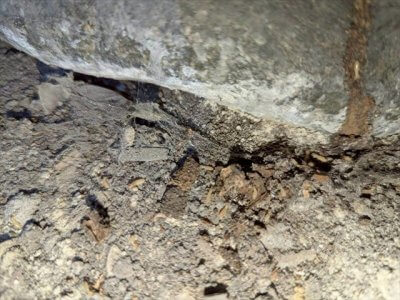 冬眠しません！ | その他