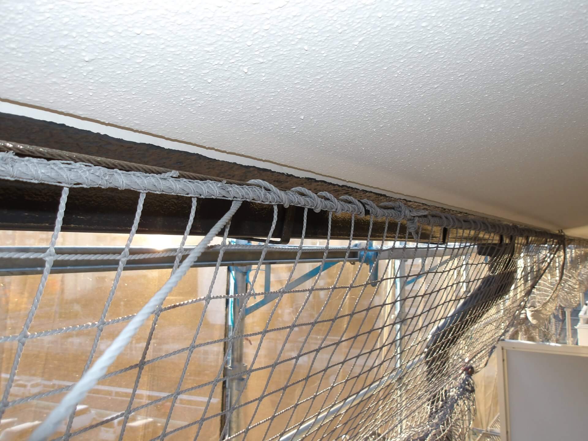 防鳥ネット取付工事№2 | その他