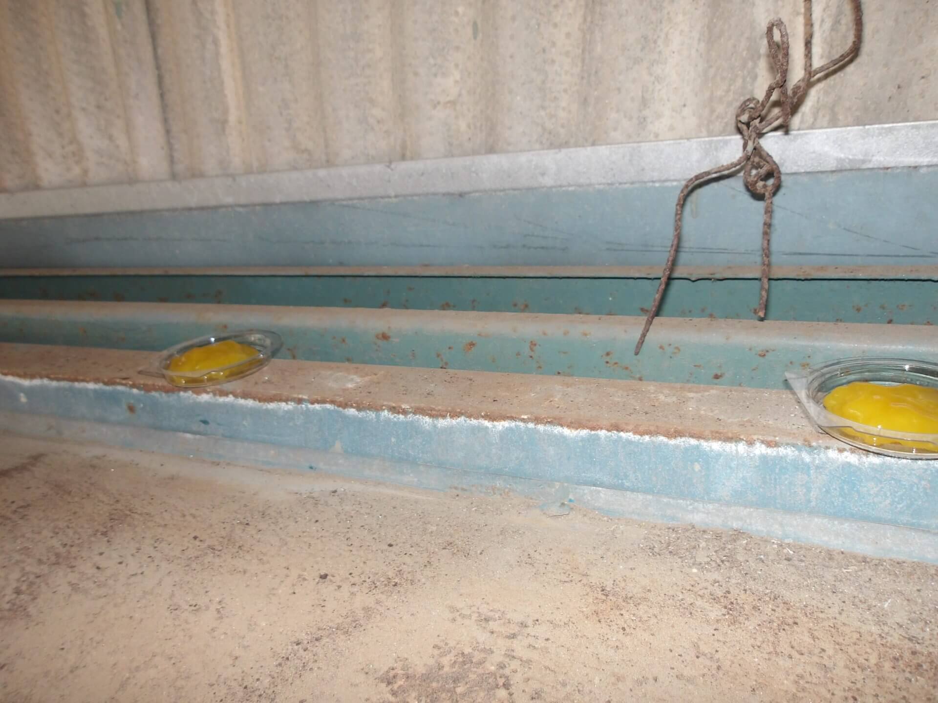 ドバト対策に忌避剤施工 | その他