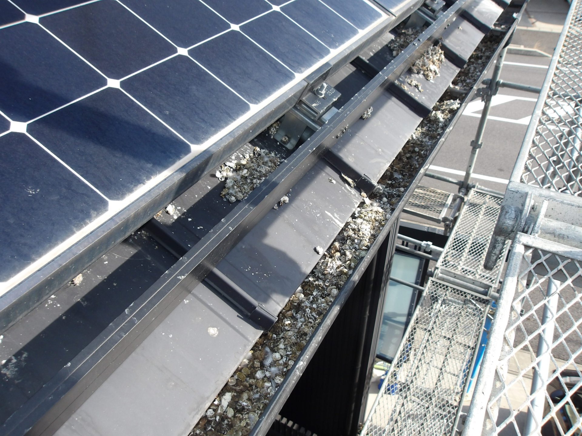 屋根ソーラーパネル　ドバト対策 | その他