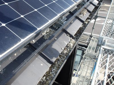 屋根ソーラーパネル　ドバト対策 | その他