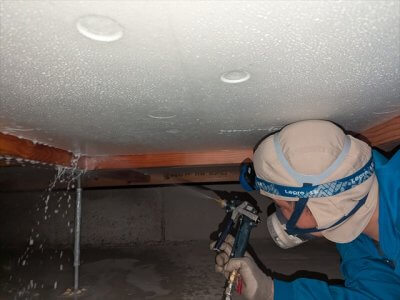 季節は関係ありません。 | その他