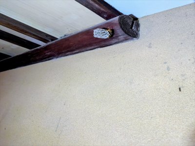 ハチの活動が始まっています。 | その他