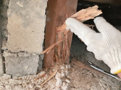 あま市　I様邸　シロアリ駆除工事 | その他