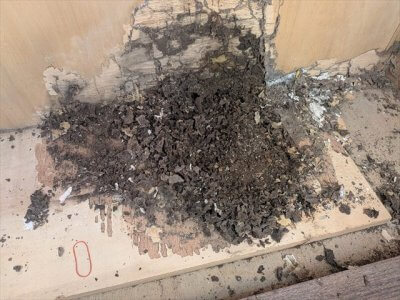 開かずの押し入れにご用心 | その他