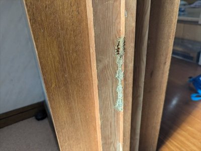 油断しておりました。 | その他